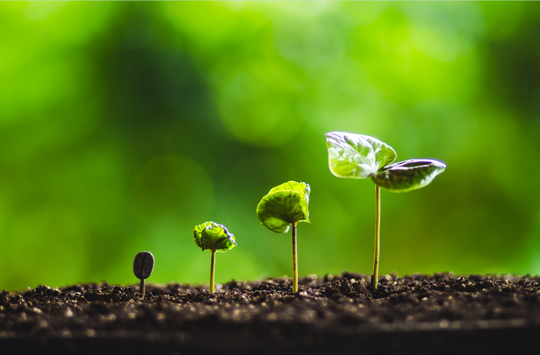 Wachsen Impulse Reflexion Ideen Erkenntnisse Denkmuster Klarheit